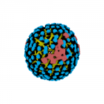 3D visualisation of a flu virus