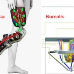 Symbionica and Borealis 